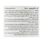 قرص کارنیتین 1000میلیگرم کارن 60 عددی - تصویر 3