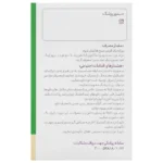 قرص پیوسته رهش زنجبیل + ویتامین ب6 جین6 -ویتوسان 30 عددی - تصویر 2